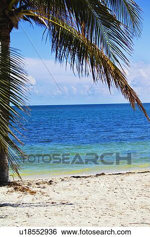Stock Photograph - Beach. Fotosearch