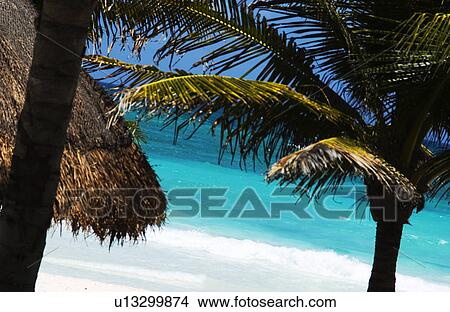 Caribbean scenery View Large Photo Image Picture - Caribbean scenery. Fotosearch