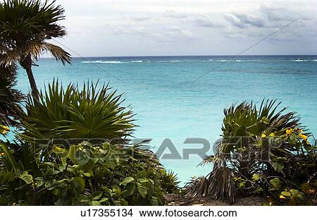 Picture - Caribbean scenery. Fotosearch