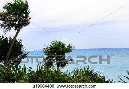 Stock Photo - Caribbean scenery. Fotosearch