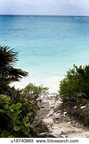 Caribbean scenery View Large Photo Image Stock Photography - Caribbean scenery. Fotosearch