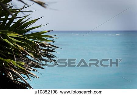 Stock Photo - Ocean scenic. Fotosearch