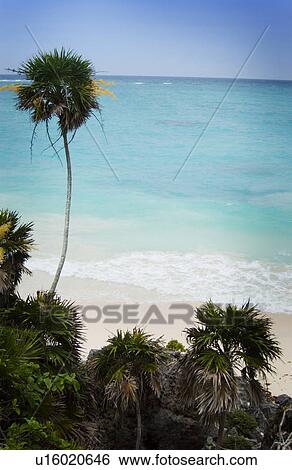 Stock Photograph - Ocean scenic. Fotosearch