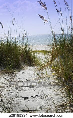 Pathway to beach View Large Photo Image Picture - Pathway to beach. Fotosearch