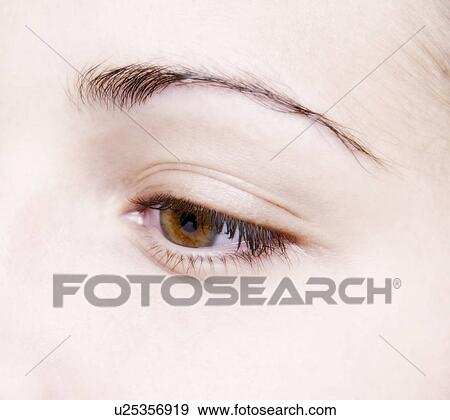 Womans eye View Large Photo Image Stock Photo - Womans eye. Fotosearch