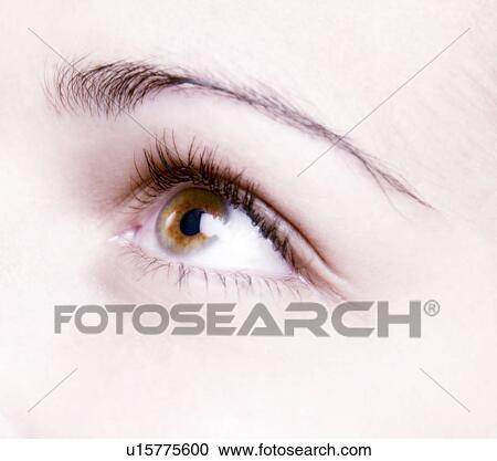 Stock Image - Woman's face. Fotosearch