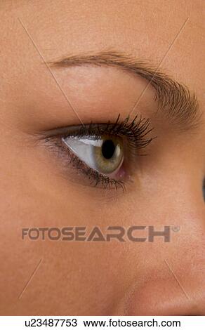 Stock Image - Woman's face. Fotosearch