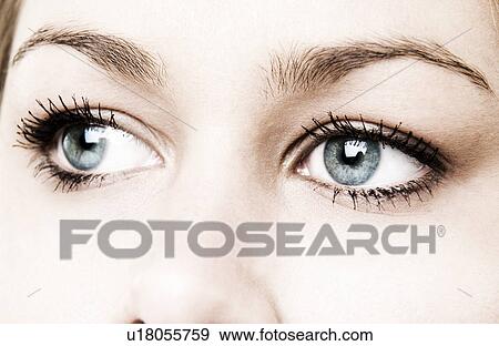 Woman's face View Large Photo Image Stock Photo - Woman's face. Fotosearch