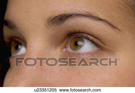 Woman's face View Large Photo Image Stock Photography - Woman's face. Fotosearch