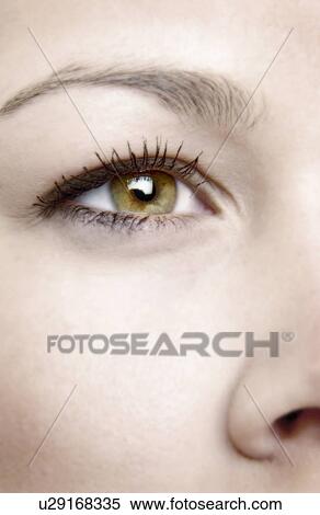 Woman's face View Large Photo Image Stock Photography - Woman's face. Fotosearch