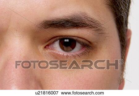 Mans face View Large Photo Image Stock Photo - Mans face. Fotosearch