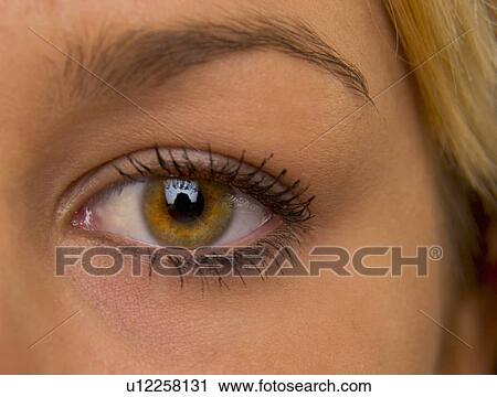 Woman's eye View Large Photo Image Stock Image - Woman's eye. Fotosearch