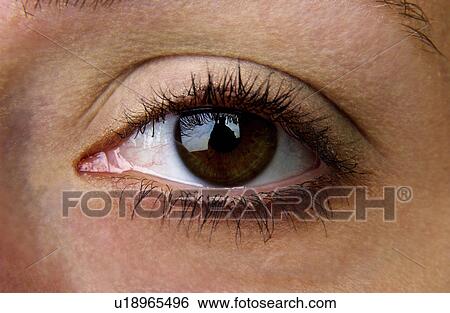 Womans eye View Large Photo Image Stock Photograph - Womans eye. Fotosearch