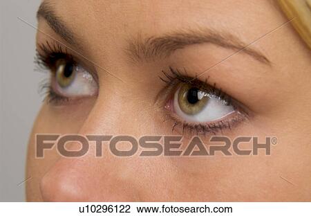 Woman's face View Large Photo Image Stock Image - Woman's face. Fotosearch