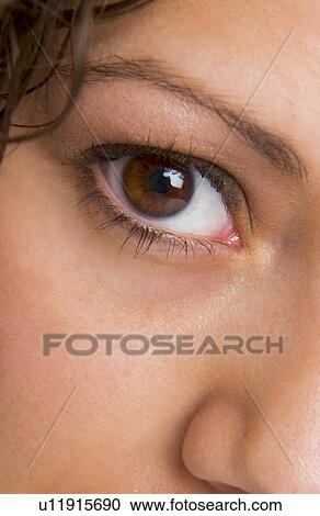 Stock Image - Woman's face. Fotosearch