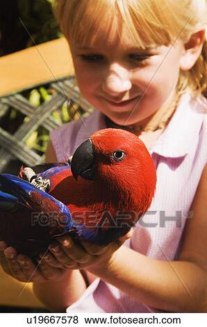 Stock Photo - Girl holding parrot. Fotosearch