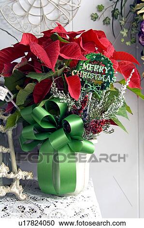 Holiday floral arrangement View Large Photo Image Stock Image - Holiday floral arrangement. Fotosearch