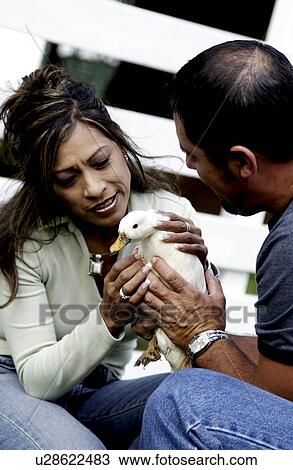 Man and woman holding duck View Large Photo Image Stock Image - Man and woman holding duck. Fotosearch