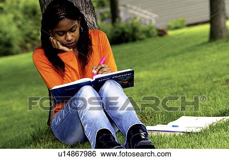 Girl studying under tree View Large Photo Image Stock Photograph - Girl studying under tree. Fotosearch