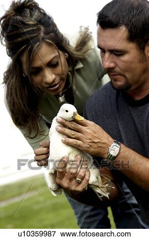 Stock Photo - Man and woman holding duck. Fotosearch