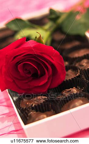 Stock Photo - Box of chocolate candy with a rose. Fotosearch