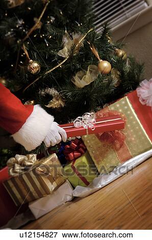 Santa putting gifts under the Christmas tree View Large Photo Image Stock Photo - Santa putting gifts under the Christmas tree. Fotosearch
