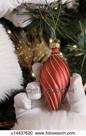 Santa putting ornaments on the Christmas tree View Large Photo Image Stock Image - Santa putting ornaments on the Christmas tree. Fotosearch