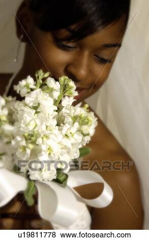 Bride holding bouquet View Large Photo Image Stock Photo - Bride holding bouquet. Fotosearch