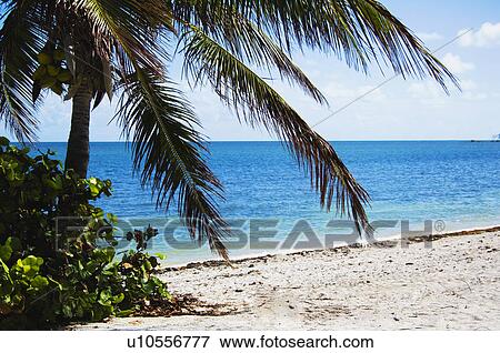 Stock Photo - Beach. Fotosearch