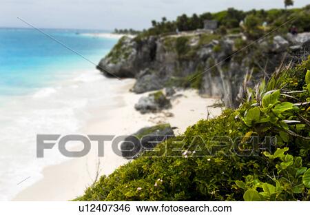 Caribbean scenery View Large Photo Image Stock Photograph - Caribbean scenery. Fotosearch