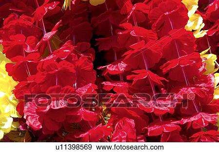 Stock Photo - Flower lei background. Fotosearch