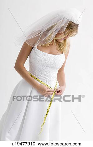 Bride measuring her waist View Large Photo Image Stock Image - Bride measuring her waist. Fotosearch