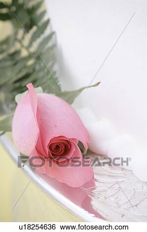 Stock Photograph - Wedding cake. Fotosearch