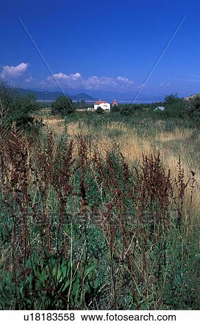 House in the meadow View Large Photo Image Stock Photo - House in the meadow. Fotosearch