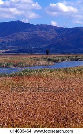 Picture - Lake landscape. Fotosearch