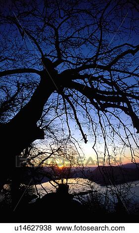 Stock Photo - Lake through the trees. Fotosearch