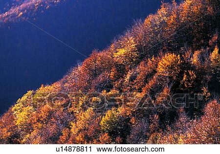 Stock Image - Mountain landscape. Fotosearch