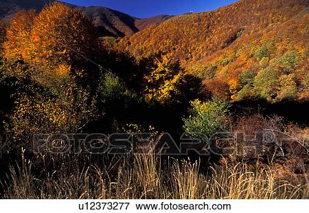 Stock Photo - Mountain landscape. Fotosearch