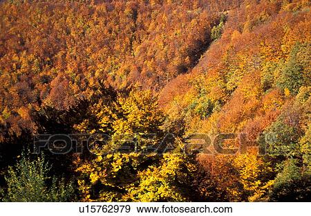 Mountain landscape View Large Photo Image Stock Photo - Mountain landscape. Fotosearch
