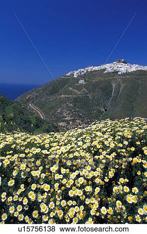 Stock Photo - Mountain village with daisies in foreground. Fotosearch
