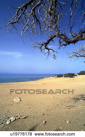 Stock Photo - Sandy beach. Fotosearch