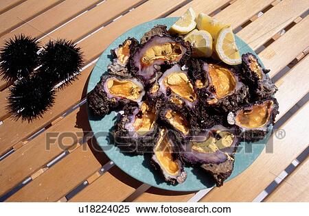 Stock Photography - Seafood on a plate. Fotosearch