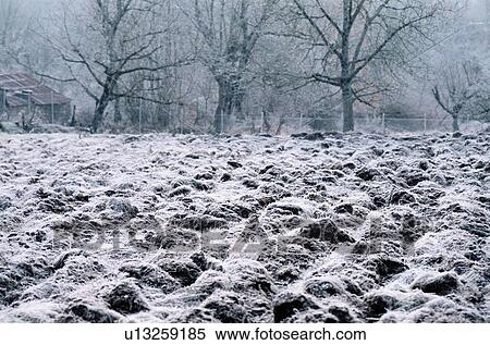 Snow covered field View Large Photo Image Stock Photography - Snow covered field. Fotosearch