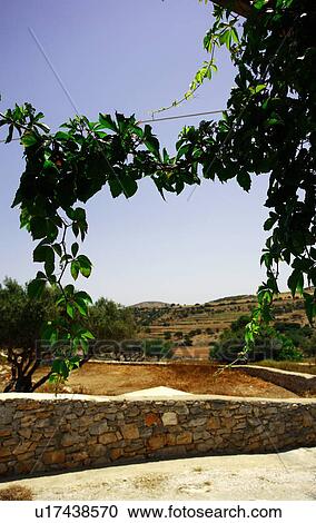 Stock Image - Agricultural landscape with stone wall. Fotosearch