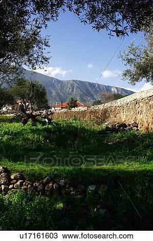 Stock Image - Country village. Fotosearch