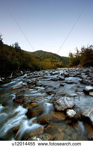 River flowing through forest View Large Photo Image Stock Photography - River flowing through forest. Fotosearch