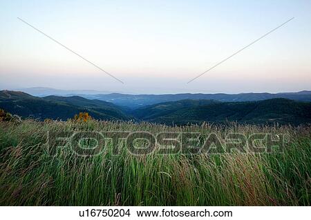 Picture - View of mountains from a field. Fotosearch