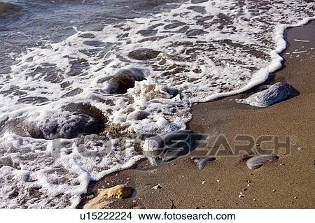 Picture - Water lapping on the sea shore. Fotosearch