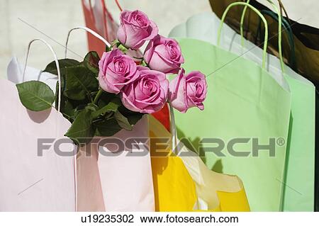 Shopping bags and roses View Large Photo Image Stock Image - Shopping bags and roses. Fotosearch