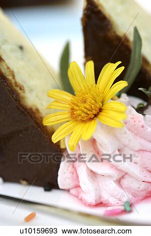 Stock Image - Food and Drink Industry, Close-Up. Fotosearch